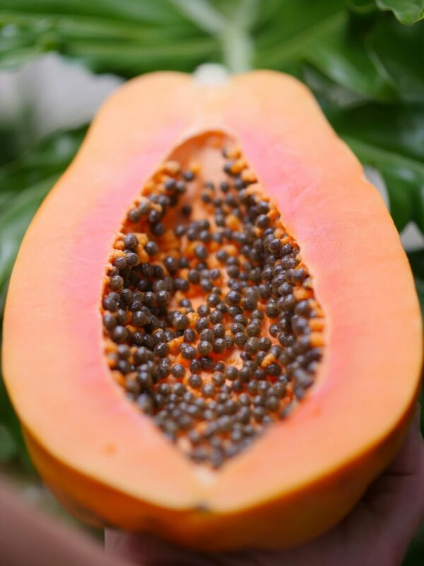 Papaya 1.5kg – 3kg (100% Organic) | Farm to Home - Image 3