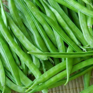 Cluster Beans | Goru Chikkudukaya 1Kg (100% Organic) | Farm to Home
