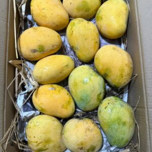 Banganapalle Mangoes | Small Box (22 count)