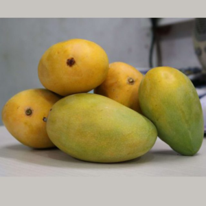Chinna Rasam Mangoes |  Small Box (32 count)