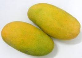 Cheruku Rasam Mangoes |  Small Box (32 count)